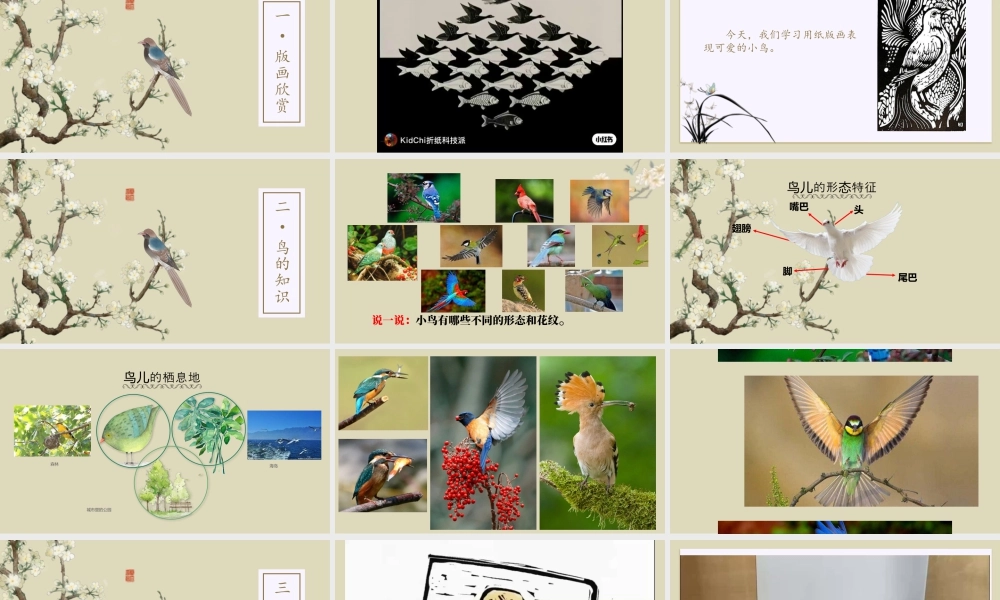 湘美版小学美术一年级下册-课时课件-一3.可爱的小鸟.pptx