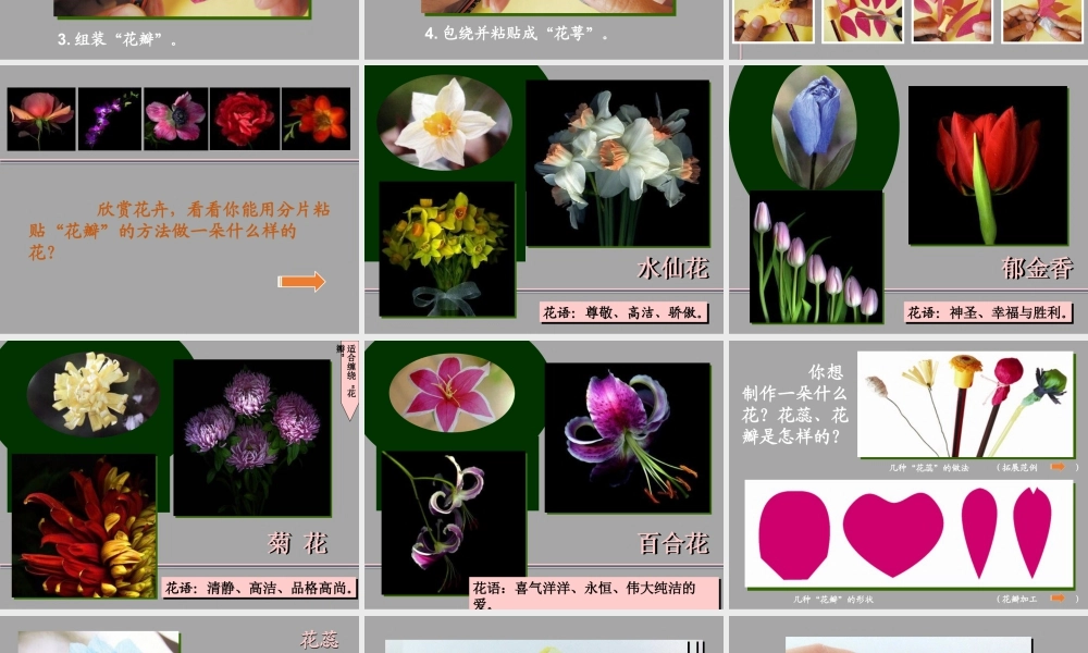 湘美版四年级美术下册-《花团锦簇》（活动二）精品课件.ppt