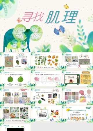 湘美版小学美术一年级上册-第5课 寻找肌理.pptx