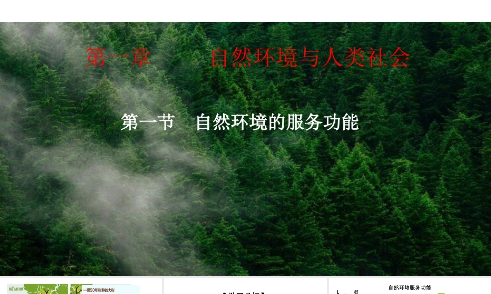 湘教版高中地理必修三课件-选择性必修三1.1自然环境的服务功能 课件.ppt