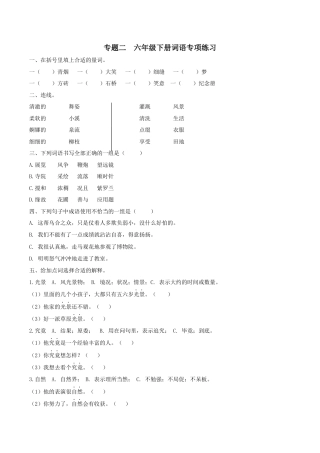 小学语文六年级下册六下词语专项（2026春）.docx