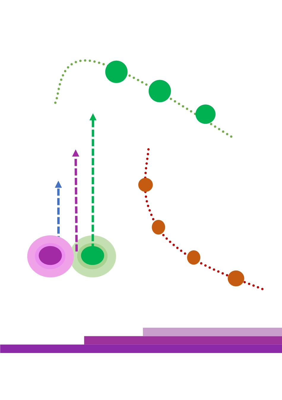 粤教版小学信息技术课时教案制作校园小报（下）-【资料】图案修饰.docx_第1页