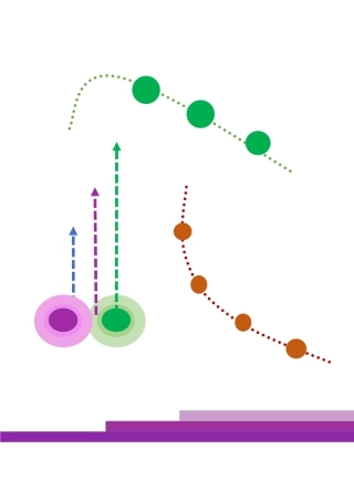 粤教版小学信息技术课时教案制作校园小报（下）-【资料】图案修饰.docx
