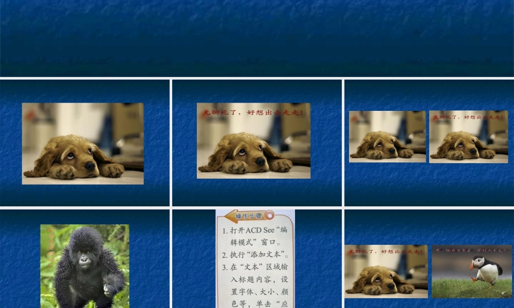 泰山版小学信息技术课件-《我给图像添文字》教学课件3.ppt