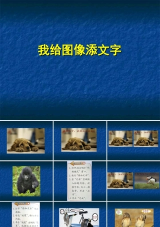 泰山版小学信息技术课件-《我给图像添文字》教学课件3.ppt