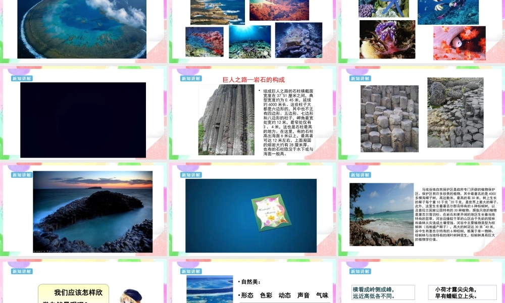 人美版美术六年级下册课件-【新课标】第2课  探访自然的遗产 课件.pptx