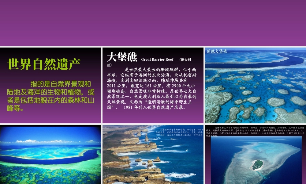 人美版美术六年级下册课件-《探访自然的奇观》课件.ppt