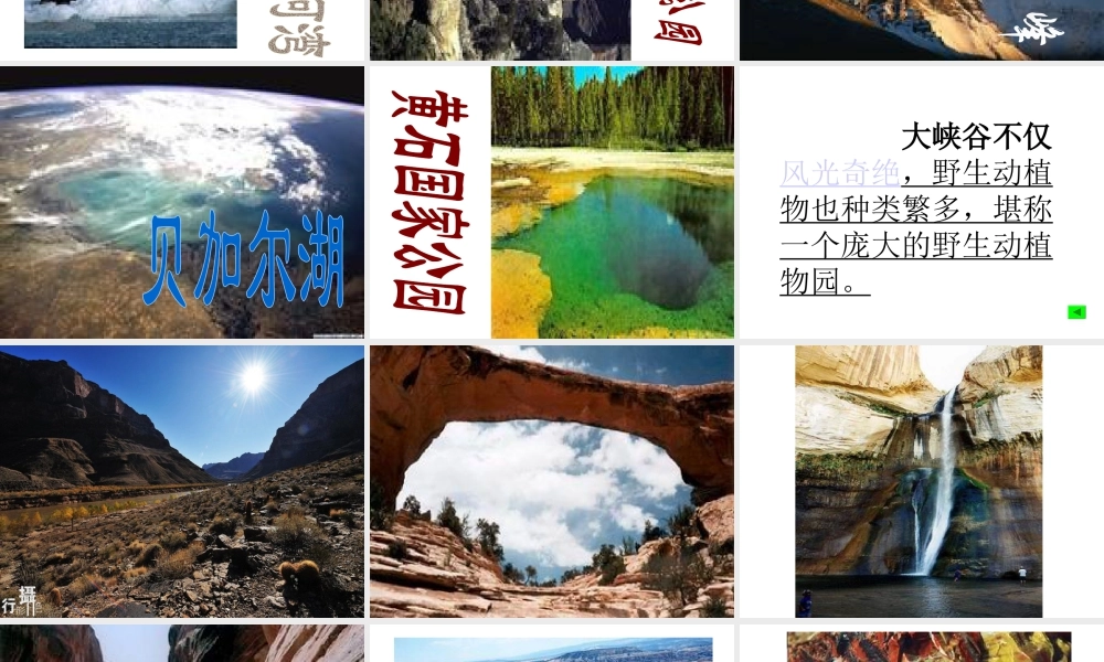 人美版美术六年级下册课件-科罗拉多大峡谷.ppt