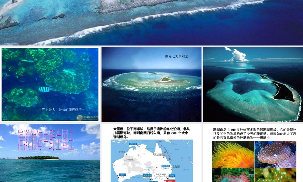 人美版美术六年级下册课件-澳大利亚的大堡礁.ppt