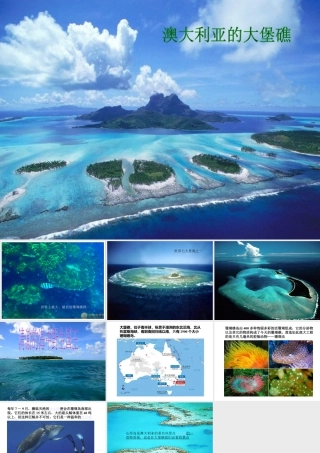 人美版美术六年级下册课件-澳大利亚的大堡礁.ppt