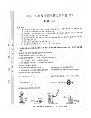 2025-2026学年上学期高三核心仿真模拟期末考试化学试题（含答案）.pdf