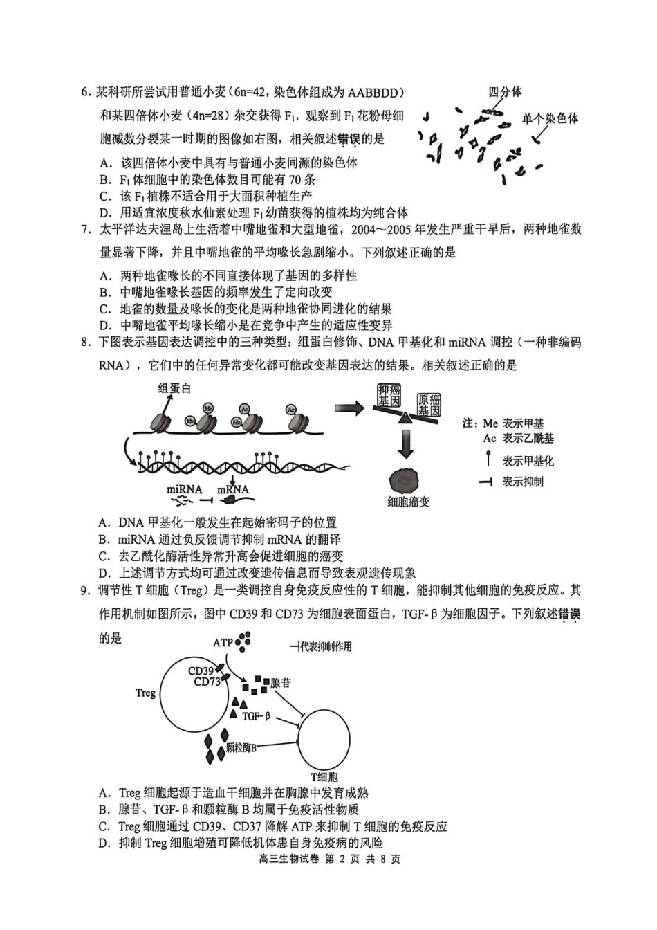 江苏省无锡市2025-2026学年高三上学期期末考试生物试题（含答案）.pdf_第2页