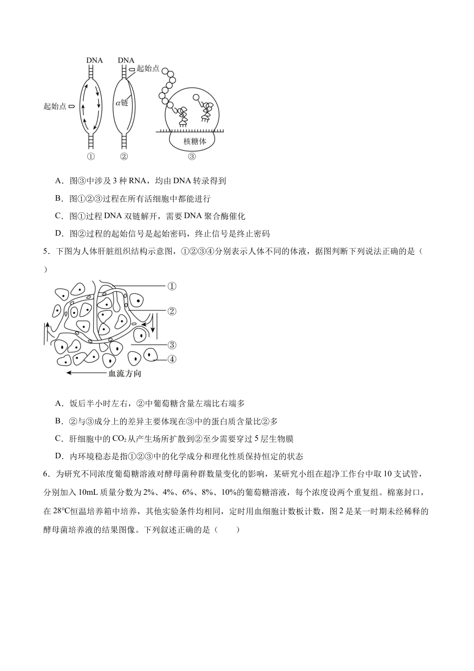 字节精准教育联盟2025-2026学年高三上学期1月期末生物试卷（含答案解析）.docx_第2页