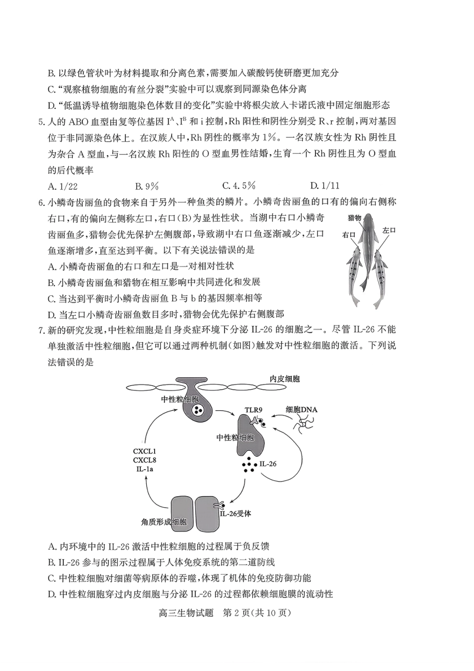 枣庄市2026届高三第一学期质量检测生物（含答案解析）.pdf_第2页