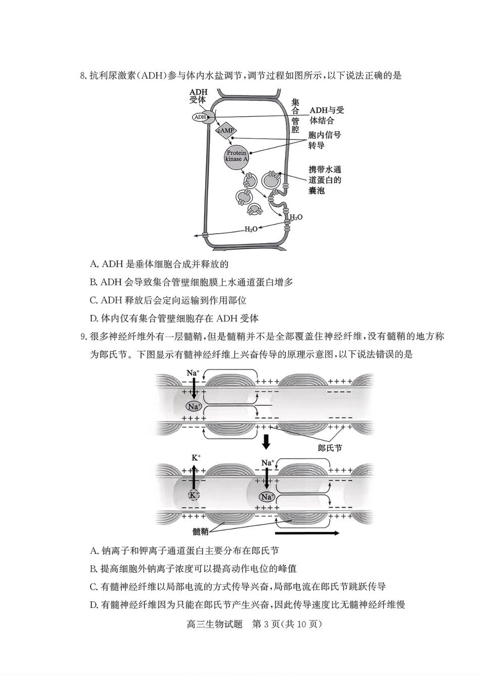 枣庄市2026届高三第一学期质量检测生物（含答案解析）.pdf_第3页