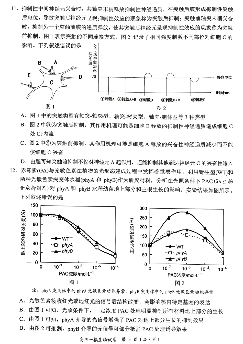 岳阳市2026届高三年级教学质量监测（一）生物试卷（含答案）.pdf_第3页