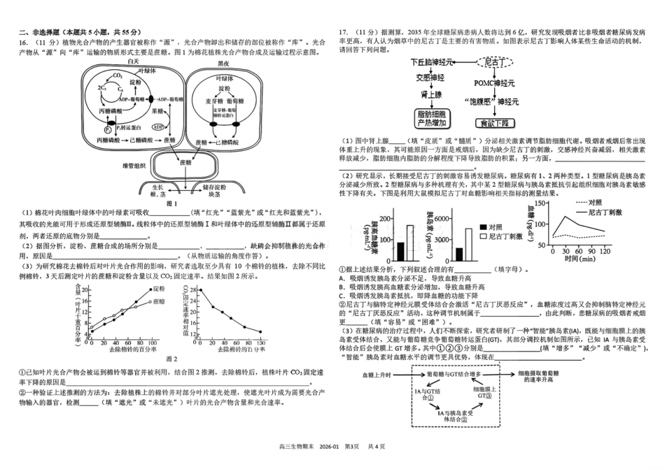 树德中学高2023级高三上期期末测试生物（含答案）.pdf_第3页