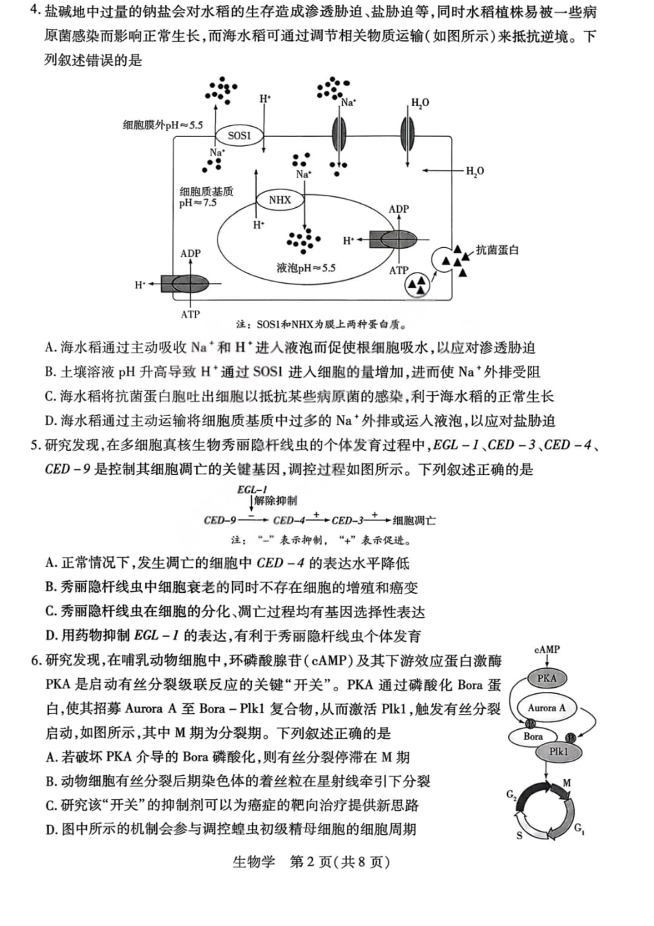 山西省晋中市2026年2月高三年级适应性调研考试(晋中一模) 生物试题（含解析）.pdf_第2页