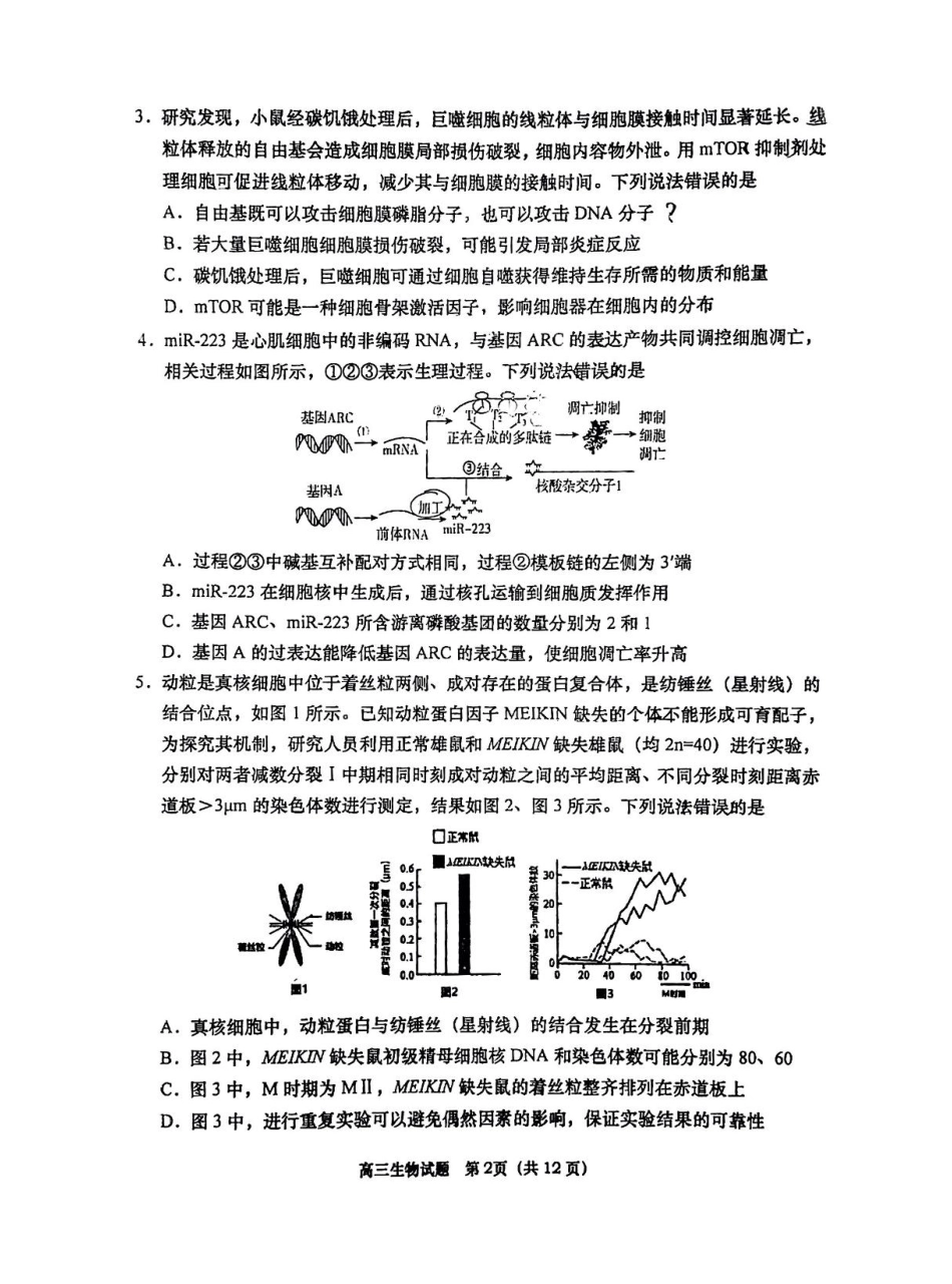 山东省青岛市2026届高三第一学期期末学业水平检测生物试题（含答案）.pdf_第2页
