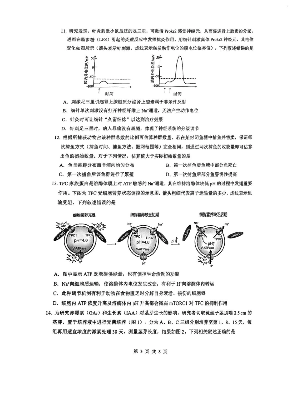 广东省华附、省实、广雅、深中2026届高三四校联考1月期末生物试题（含解析）.pdf_第3页