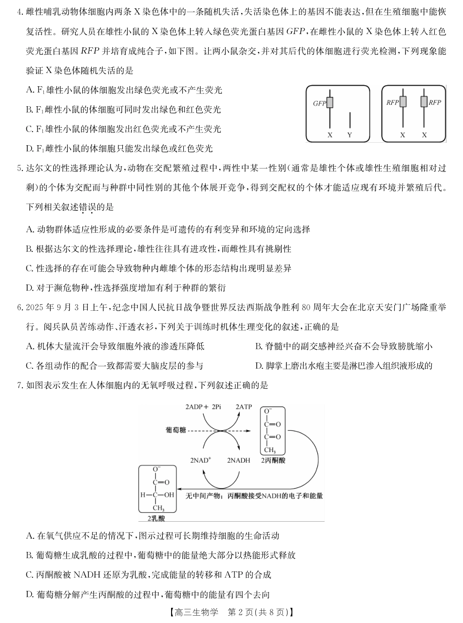 2026届湖北省十堰市高三年级元月调研考试一模测试生物试题（含答案解析）.pdf_第2页