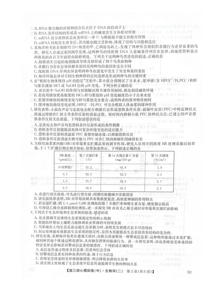 2025-2026学年上学期高三核心仿真模拟期末考试生物试题（含答案）.pdf_第2页