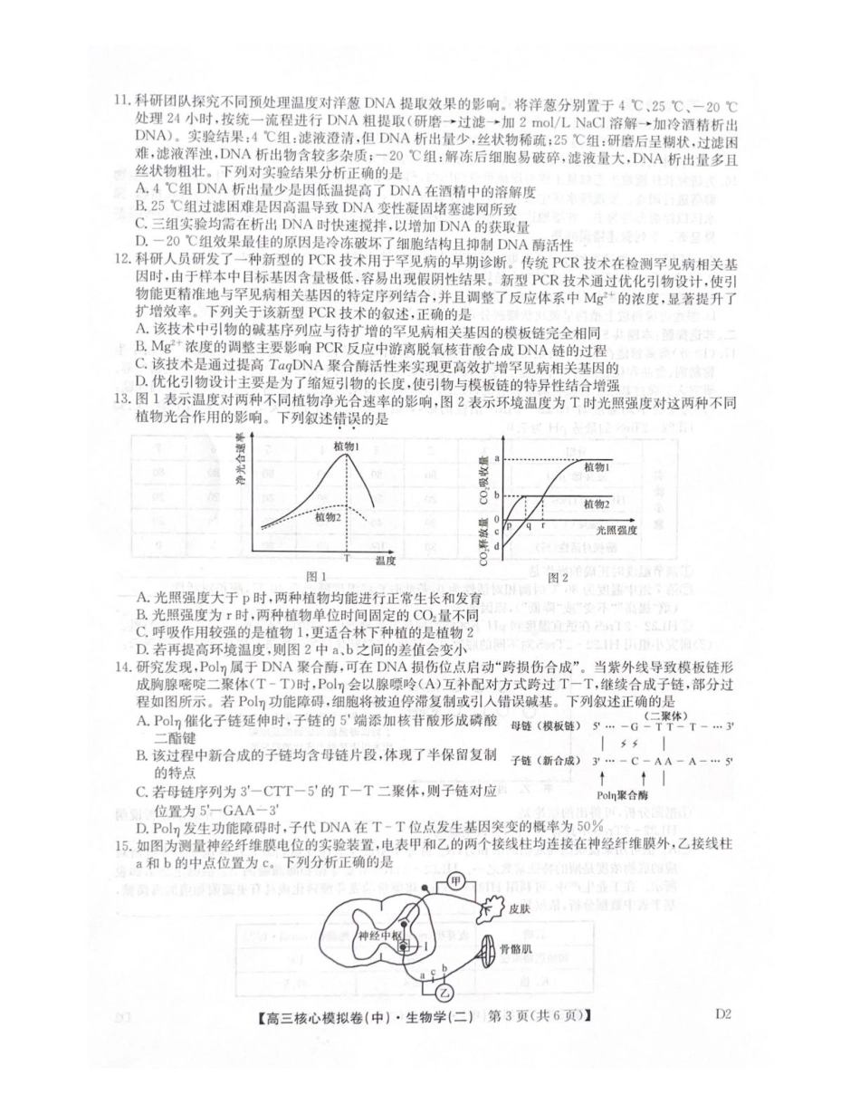 2025-2026学年上学期高三核心仿真模拟期末考试生物试题（含答案）.pdf_第3页