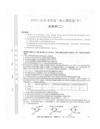 2025-2026学年上学期高三核心仿真模拟期末考试生物试题（含答案）.pdf
