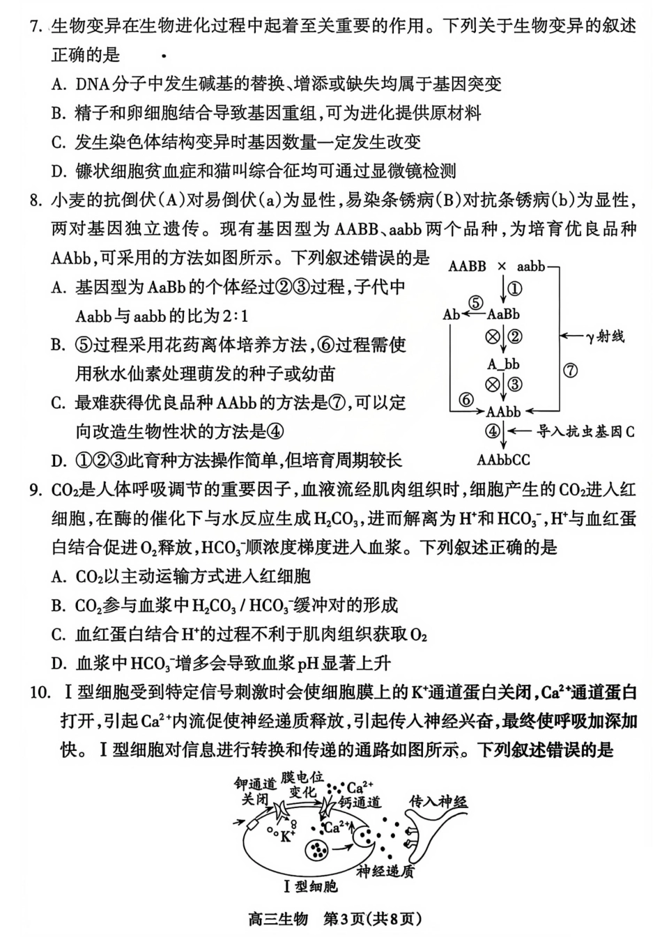【吕梁一模】山西省吕梁市2025-2026学年高三上学期期末调研测试生物试题及答案.pdf_第3页