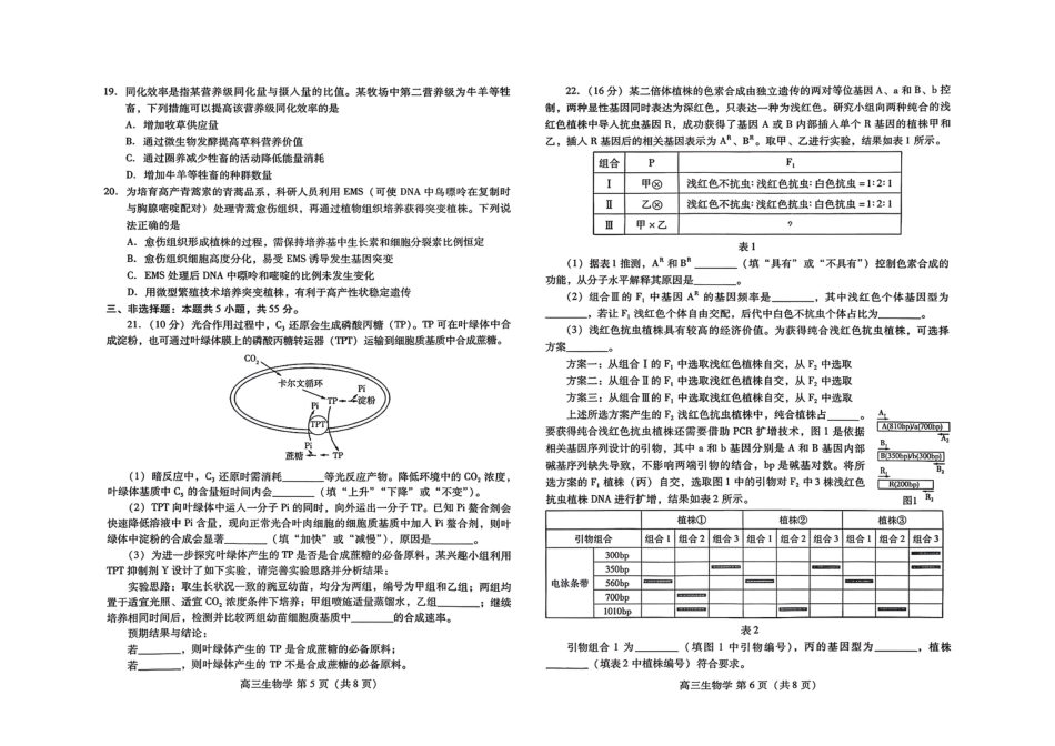 （潍坊一模）山东省潍坊市2026年2月高考模拟考试生物试题及答案.pdf_第3页