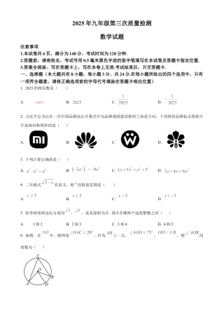 江苏省徐州市铜山区2025年第三次质量检测九年级数学试卷（含答案解析）.docx
