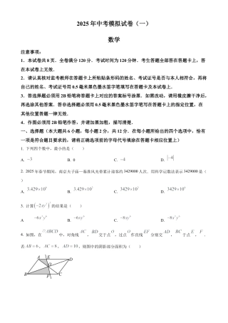 江苏省南京市联合体2025年中考一模数学试卷（含答案解析）.docx