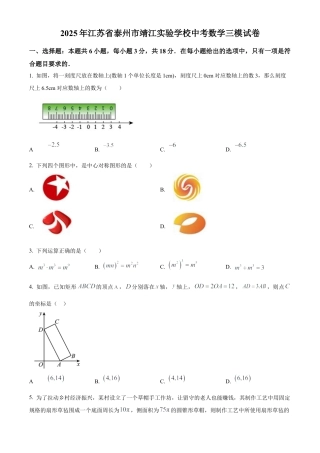 2025年江苏省泰州市靖江实验学校中考数学三模试卷 （含答案解析）.docx