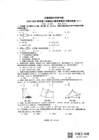 江苏省无锡市湖滨中学2025年九年级寒假作业检查数学试卷.pdf