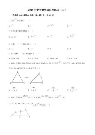 2025年江苏省南京联合体中考三模数学科试卷（含答案解析）.docx