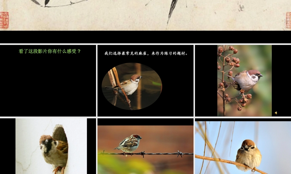 人美版小学五年级下册美术课件-第14课_花鸟画(二).pptx