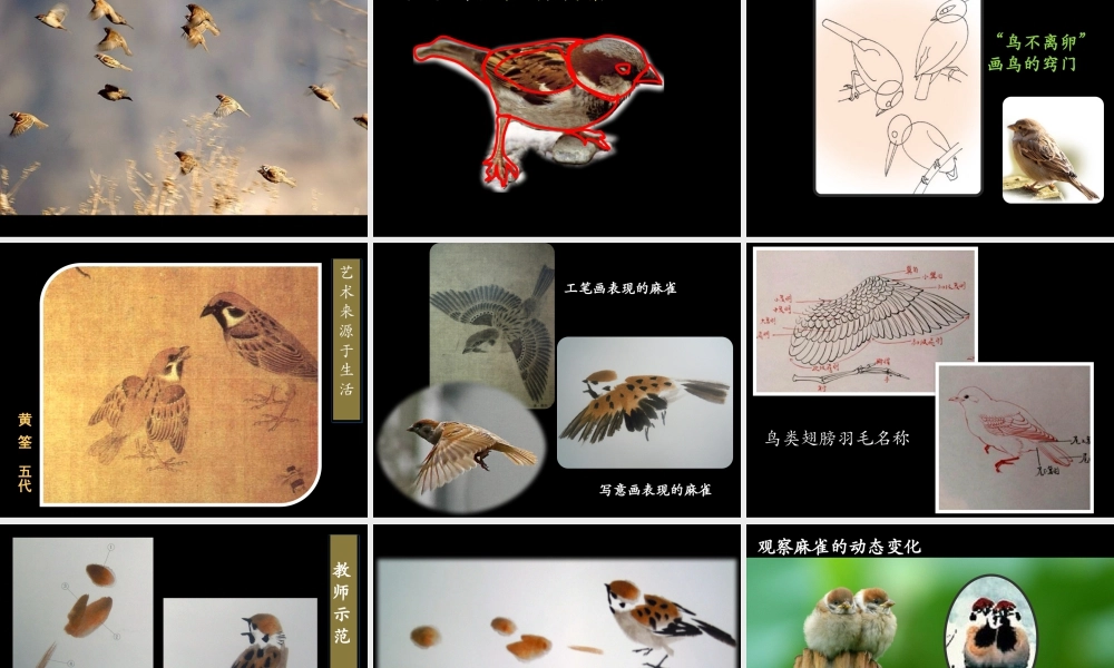 人美版小学五年级下册美术课件-第14课_花鸟画(二).pptx