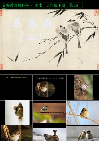 人美版小学五年级下册美术课件-第14课_花鸟画(二).pptx