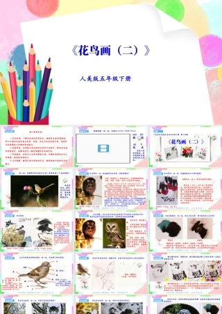 新课标 人美版美术五年级下册  第十四课 花鸟画（二） 课件.ppt