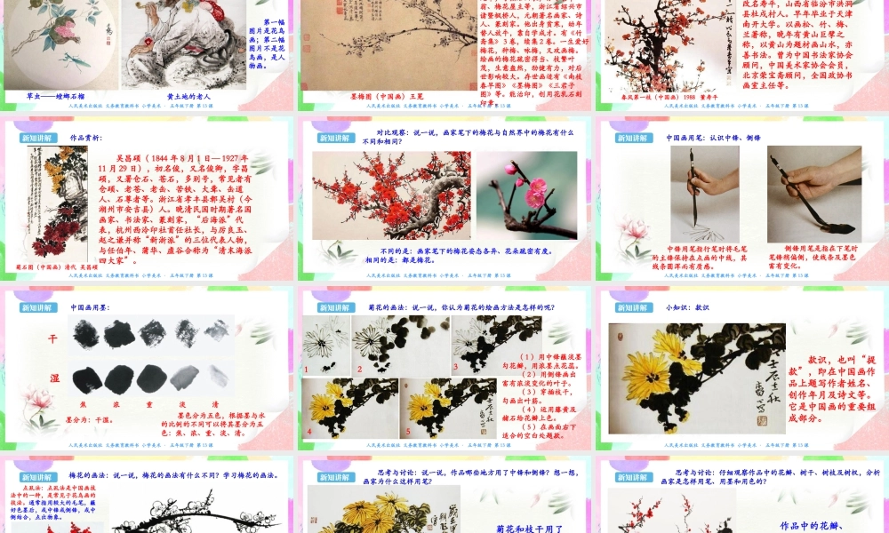 新课标 人美版美术五年级下册  第十三课 花鸟画（一） 课件.ppt