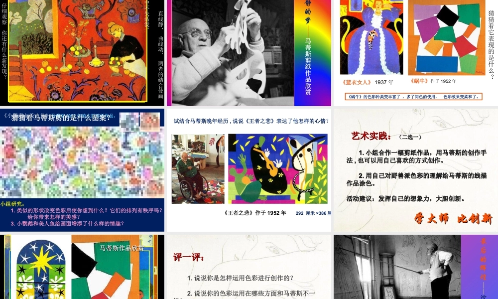 人美版小学五年级下册美术课件-第2课20世纪的艺术大师——马蒂斯.ppt