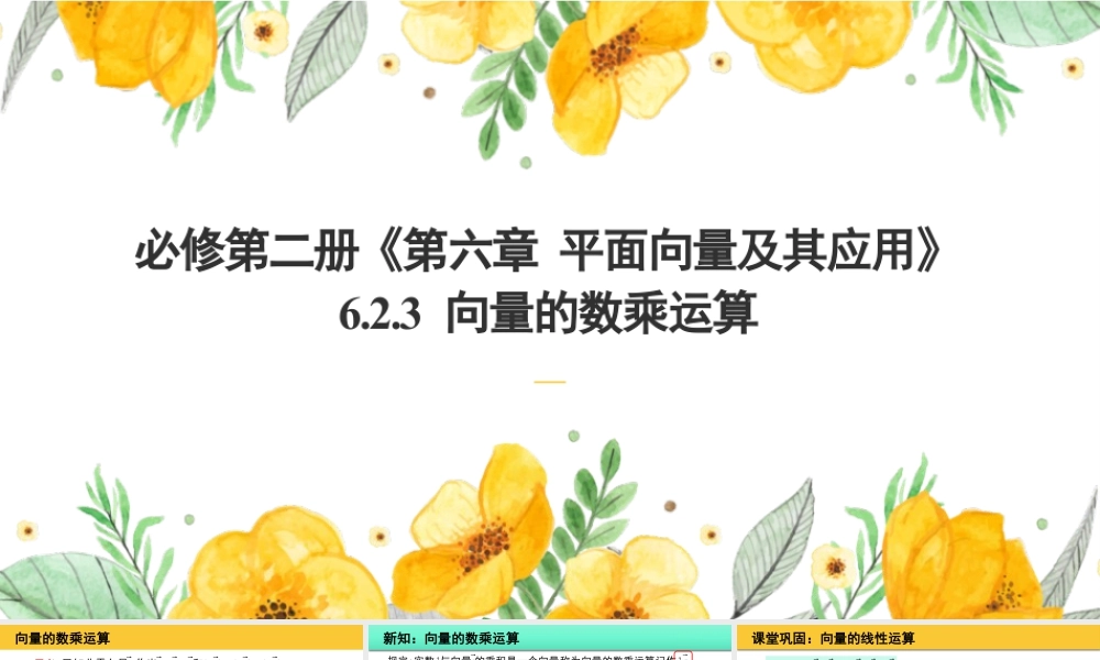 新人教版高中数学必修二全套优质同步ppt课件-6.2.3 向量的数乘运算(2个课时).pptx