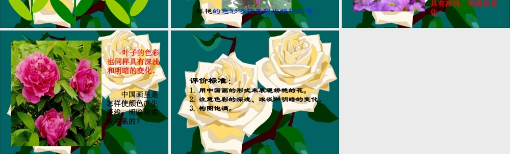 《娇艳的花》课件-人美版小学美术三年级下册.ppt