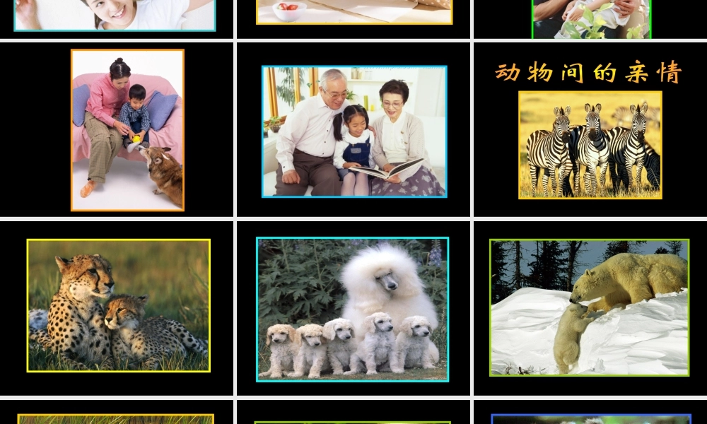 《亲亲密密一家子》课件-人美版小学六年级上册.ppt