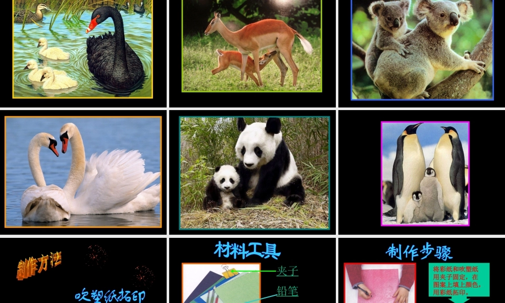 《亲亲密密一家子》课件-人美版小学六年级上册.ppt