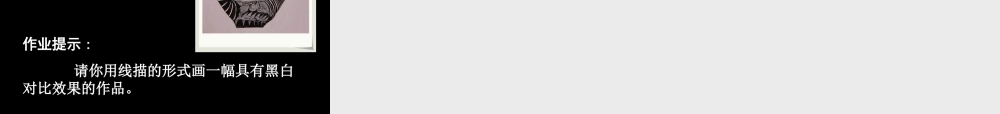 《线描画中的黑白对比》课件-人美版小学六年级上册.ppt