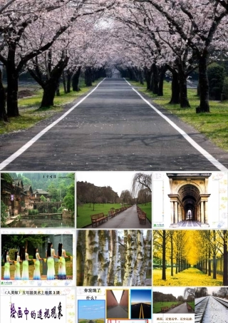 第5课 人美版美术五上《绘画中的透视现象》PPT课件1 (3).ppt