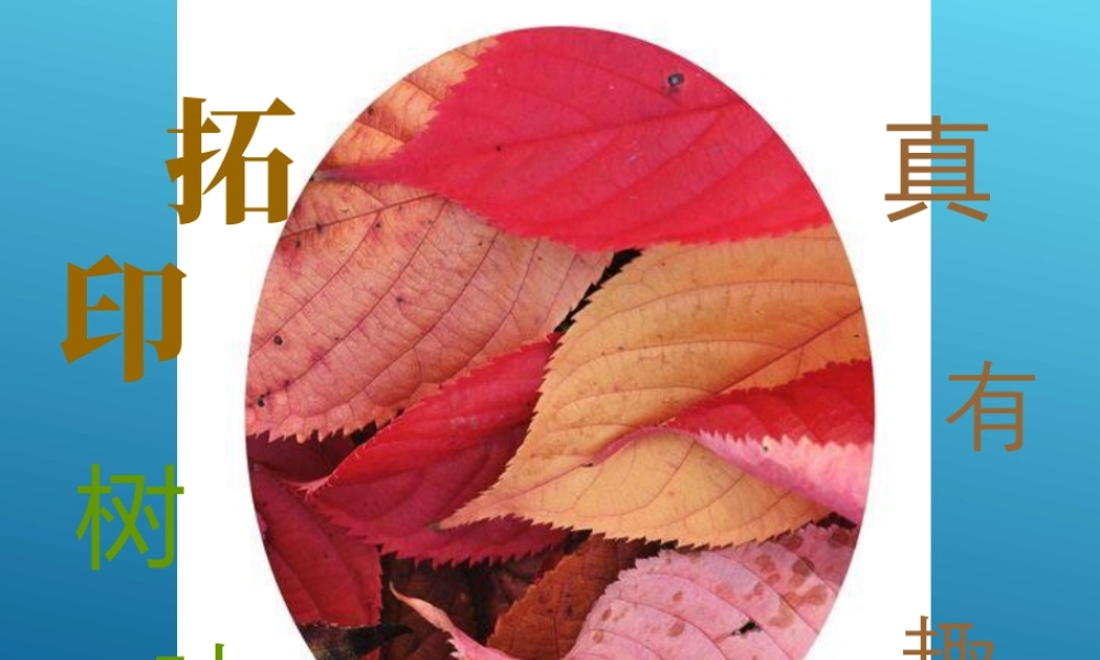 第11课 拓印树叶真有趣 课件 (4)-人美版小学美术三年级上册.ppt