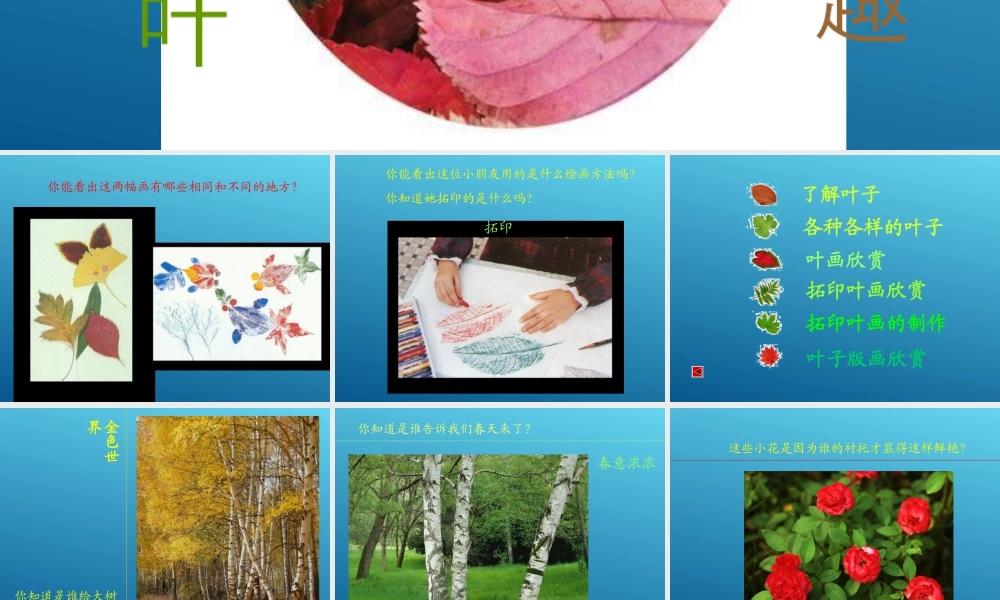 第11课 拓印树叶真有趣 课件 (4)-人美版小学美术三年级上册.ppt