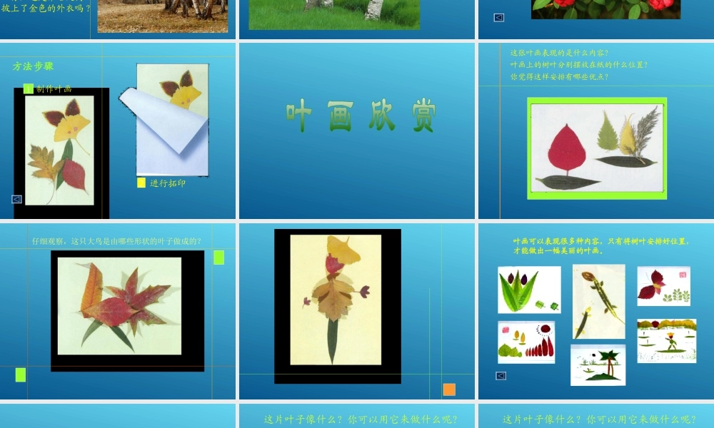 第11课 拓印树叶真有趣 课件 (4)-人美版小学美术三年级上册.ppt